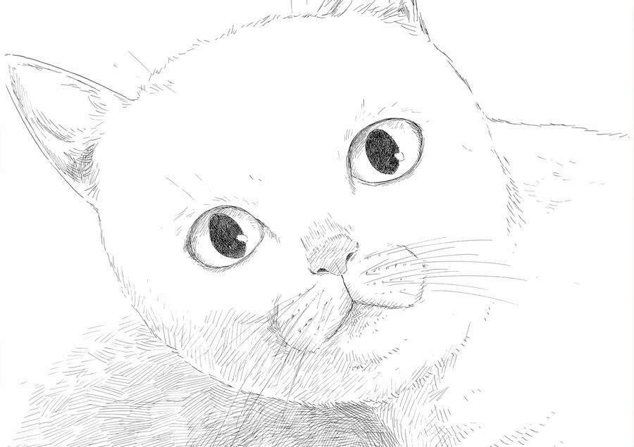 Đường Mòn Máu 138 trang 16