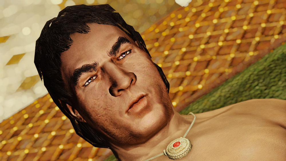 Elenwen, Emissary of Thalmor 1 trang 41