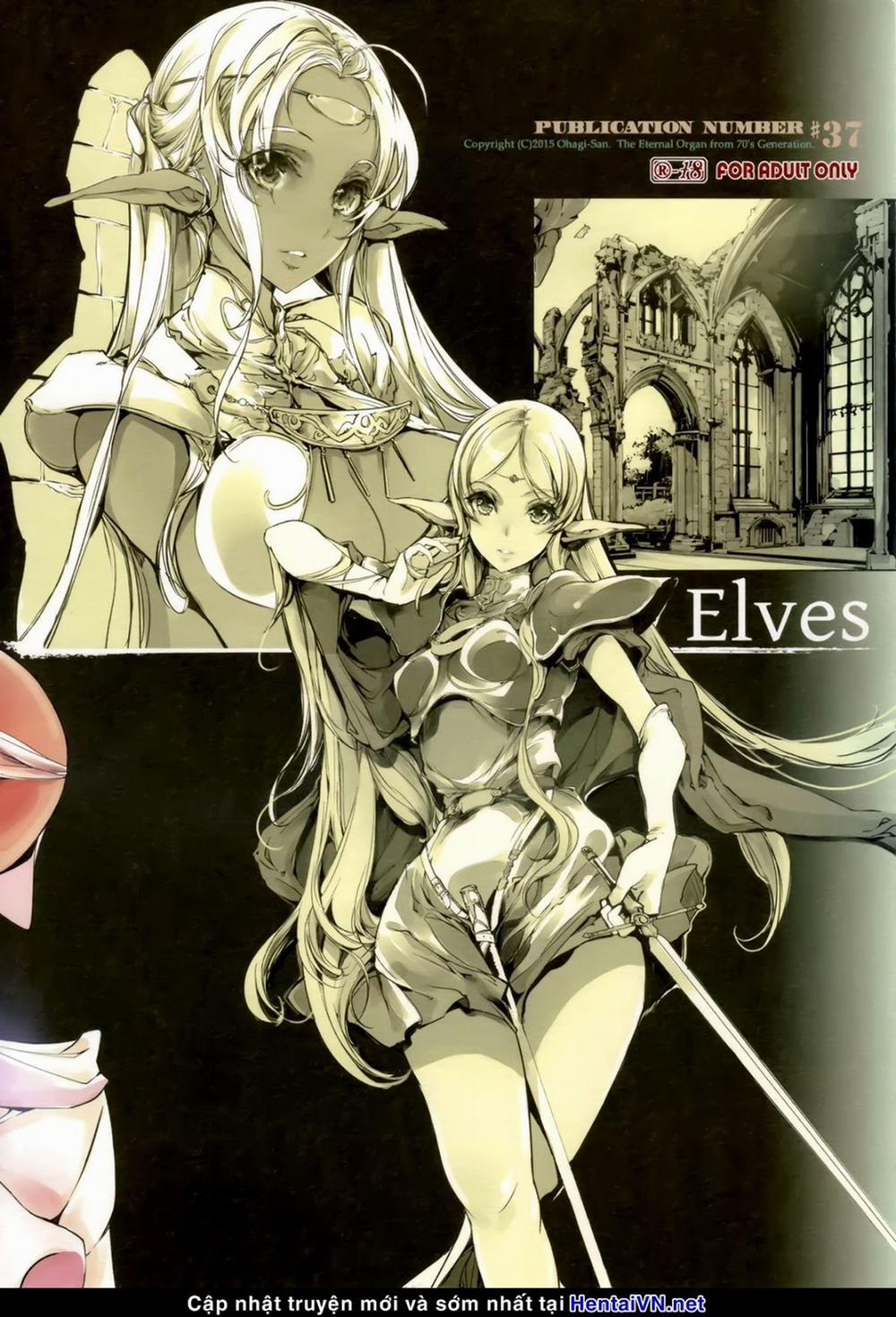 Elves (Record Of Lodoss War) Oneshot [Full Color] trang 40