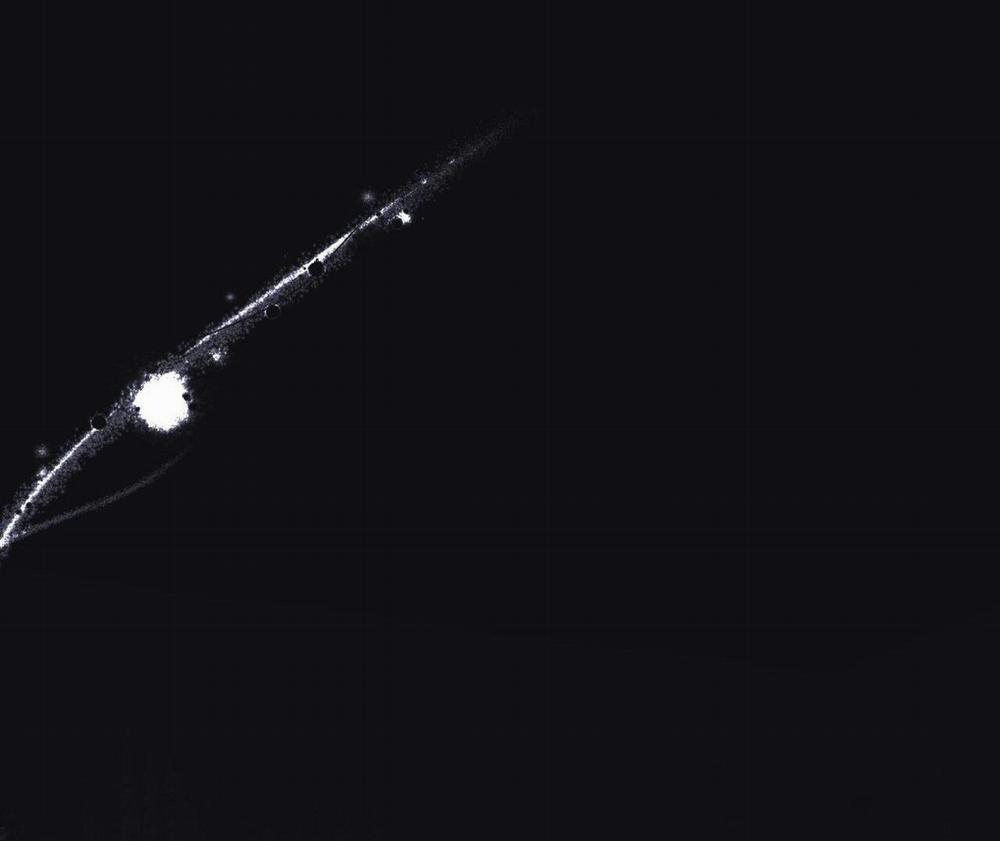 (End) Chờ Chút! Đừng Di Chuyển 1 trang 10