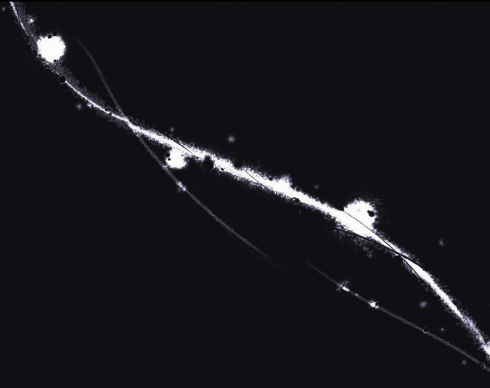 (End) Chờ Chút! Đừng Di Chuyển 1 trang 8