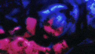 Eula Phần 2 trang 23