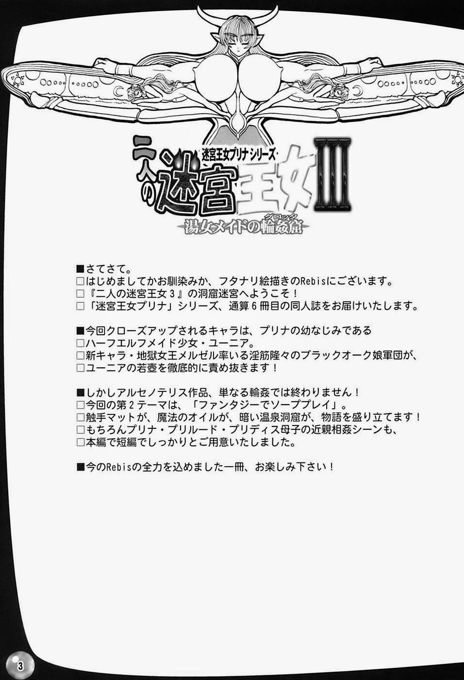 Futari no Meikyuu Oujo I Twin Dungeon Princesses 3 trang 2