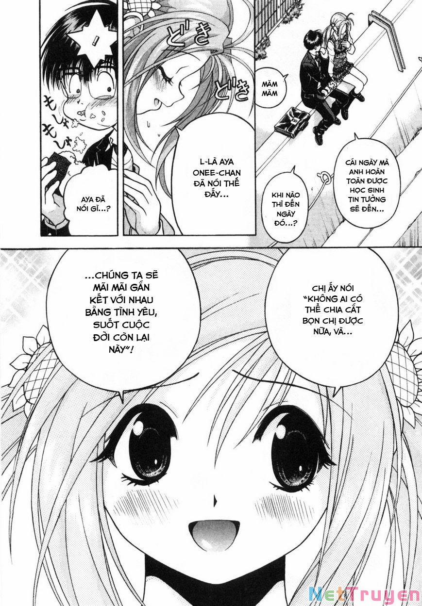 Gakuen Heaven 61 trang 14