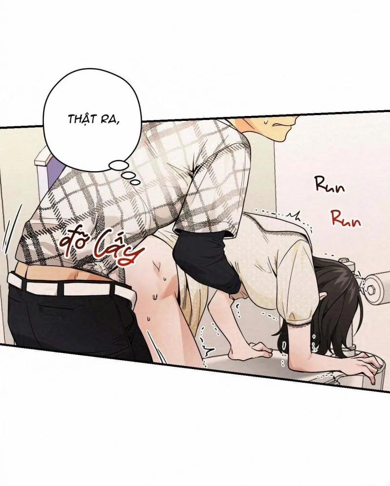 Gangster Và Kẻ Trộm 14 trang 10