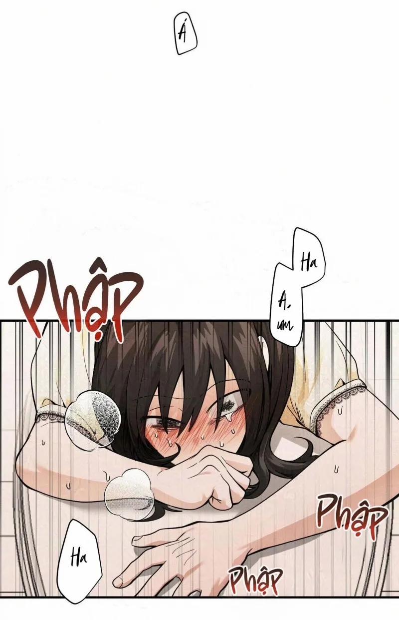 Gangster Và Kẻ Trộm 14 trang 3