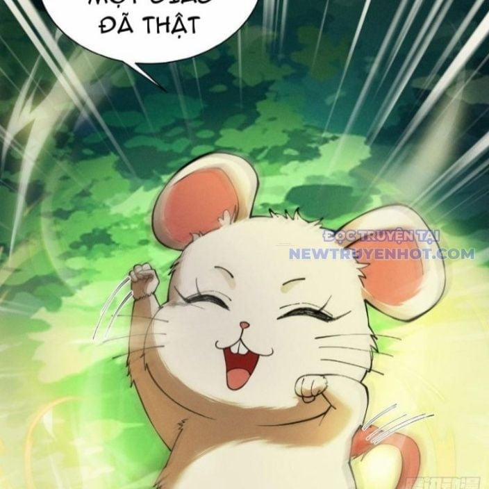 Gặp Mạnh Thì Càng Mạnh, Tu Vi Của Ta Không Giới Hạn 17 trang 27