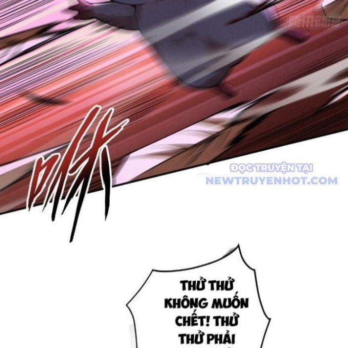 Gặp Mạnh Thì Càng Mạnh, Tu Vi Của Ta Không Giới Hạn 17 trang 52