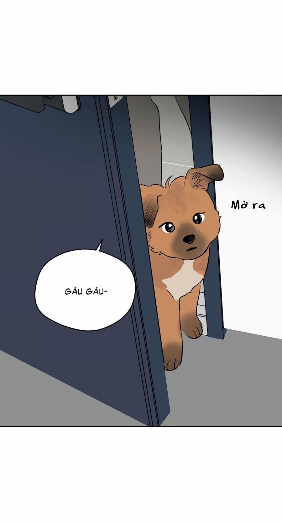 Giấc mơ kì lạ 41 trang 13