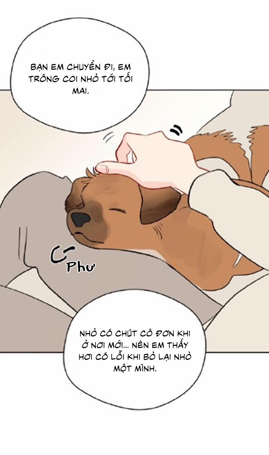 Giấc mơ kì lạ 41 trang 17