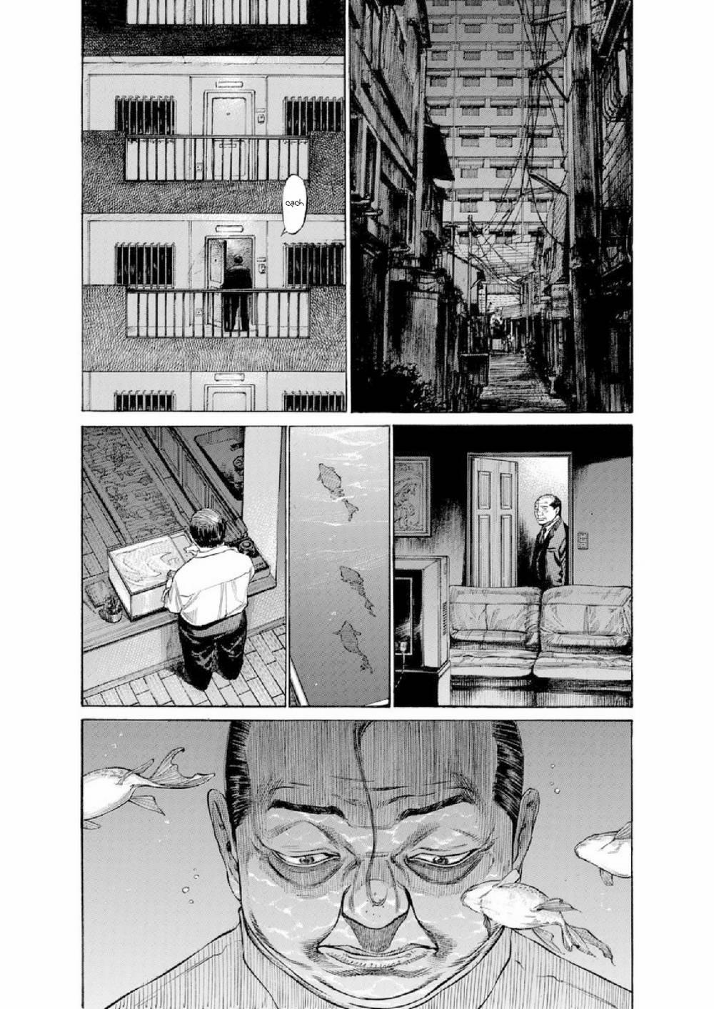 Give My Regards To Black Jack 116 trang 12