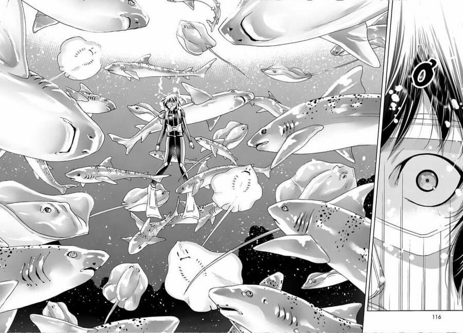 Grand Blue – Cô Gái Thích Lặn 81 trang 24