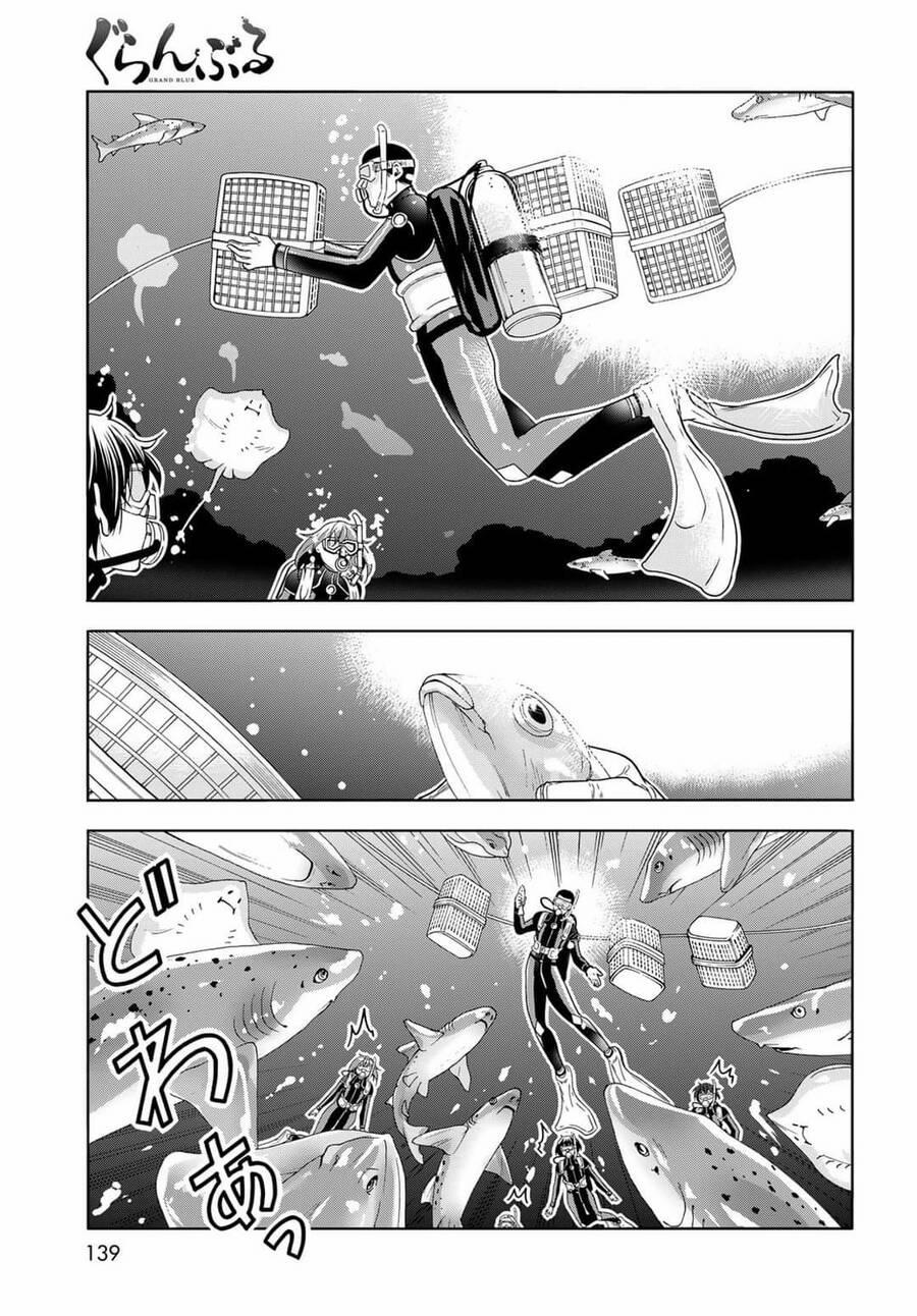 Grand Blue – Cô Gái Thích Lặn 81 trang 46