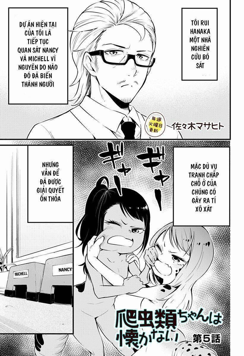 Hachuurui-Chan Wa Natsukanai 5 trang 0