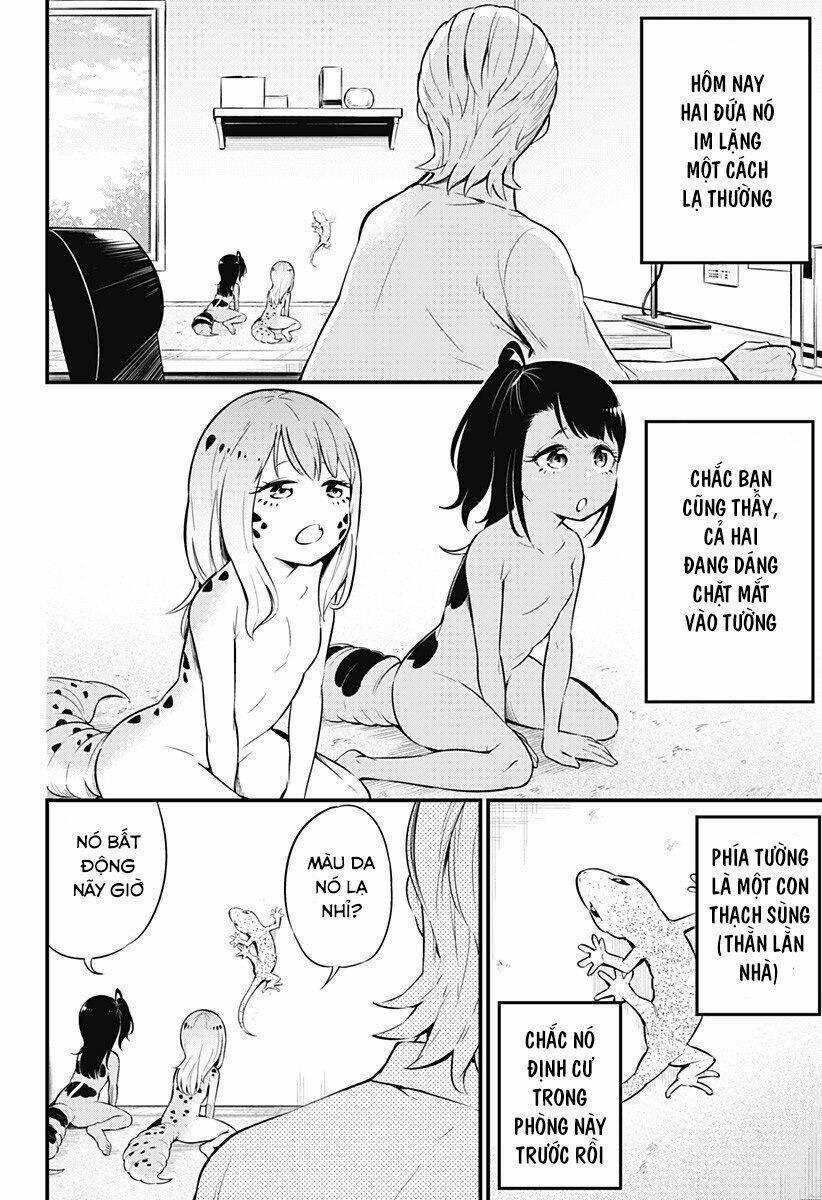 Hachuurui-Chan Wa Natsukanai 5 trang 1