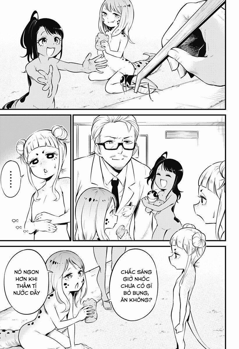 Hachuurui-Chan Wa Natsukanai 6 trang 4