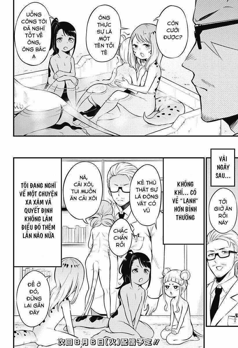 Hachuurui-Chan Wa Natsukanai 8 trang 7