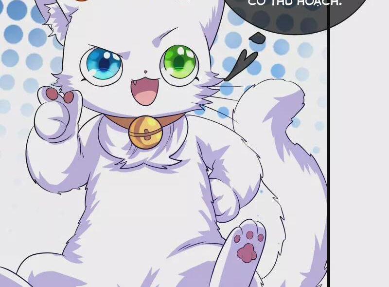 Hài Đế Vi Tôn 175 trang 13