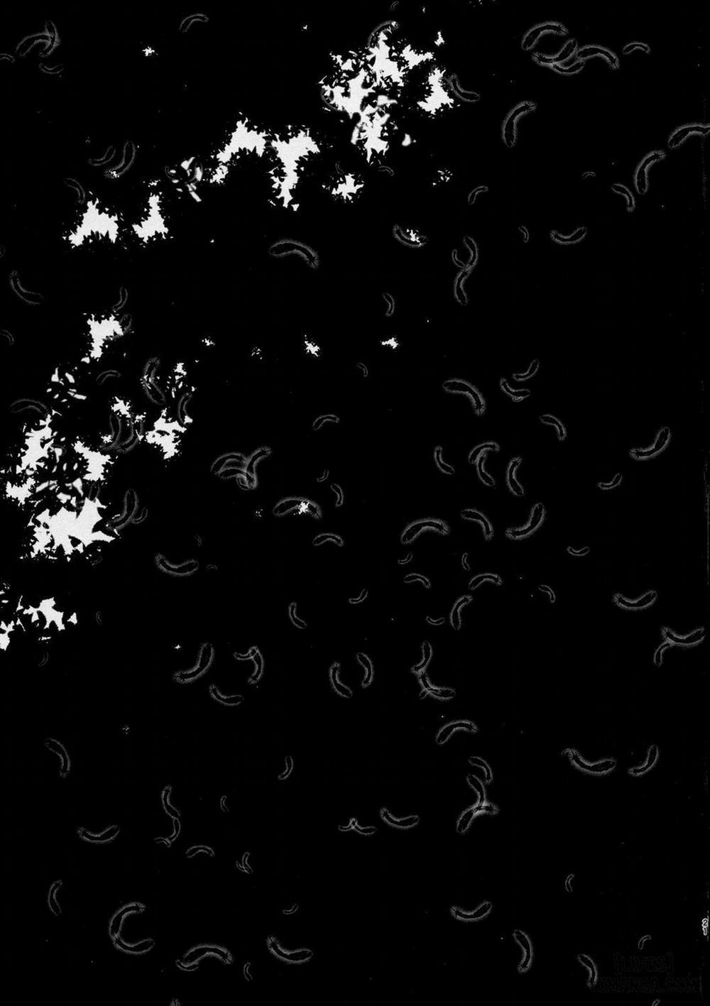 Happy End Oneshot trang 20