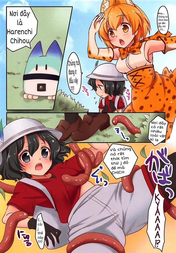 Harenchi Chihou (Kemono Friends) Oneshot[Full Color] trang 3