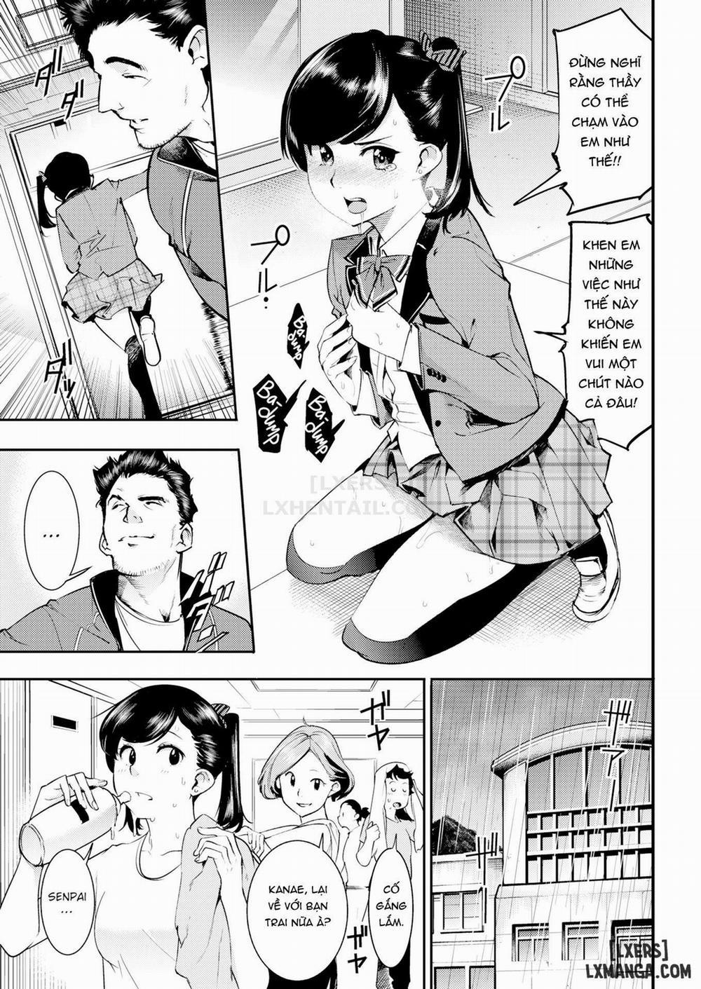 Hatsujou Rabbits 4 trang 10