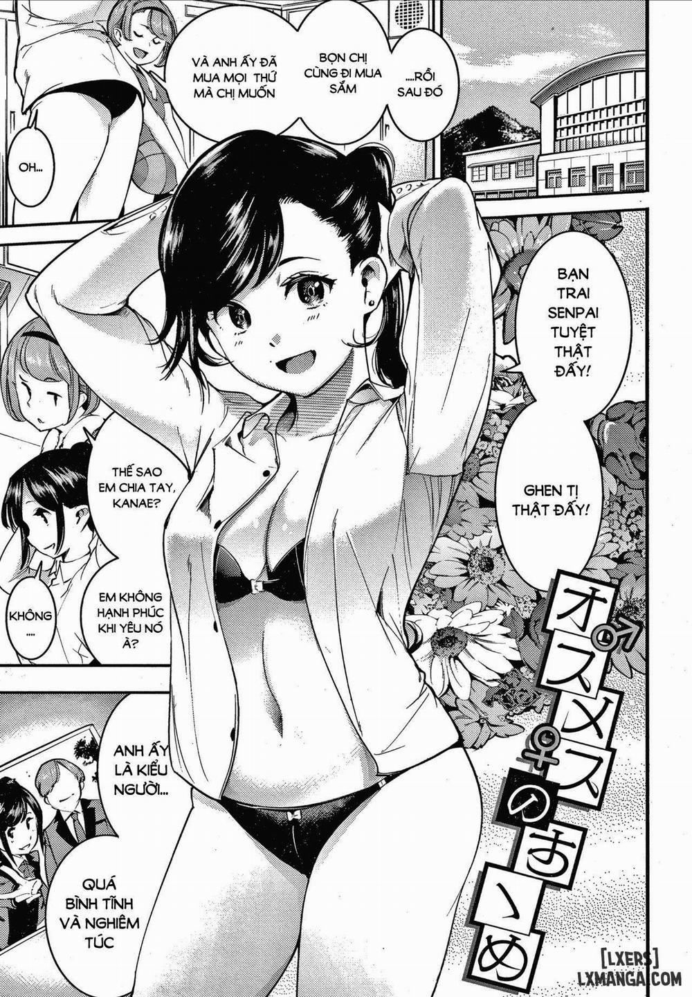 Hatsujou Rabbits 5 trang 0