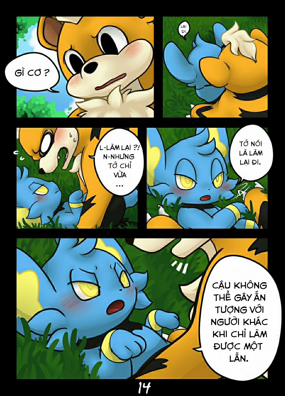 Hãy bắt tớ nếu cậu có thể (Pokemon) Oneshot trang 13