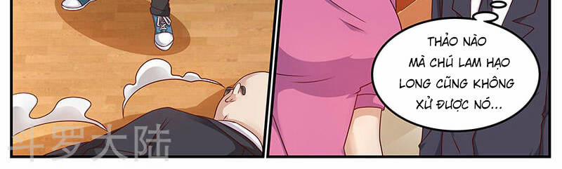 Hệ Thống X Toàn Năng 80 trang 24