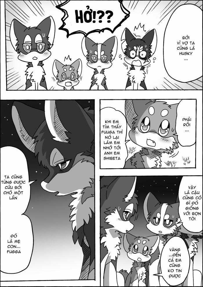Helper Shibeta 0 Chó và Sói trang 25