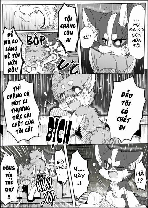 Helper Shibeta 1 trang 8