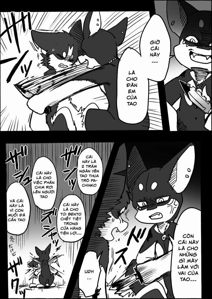 Helper Shibeta 10 trang 32