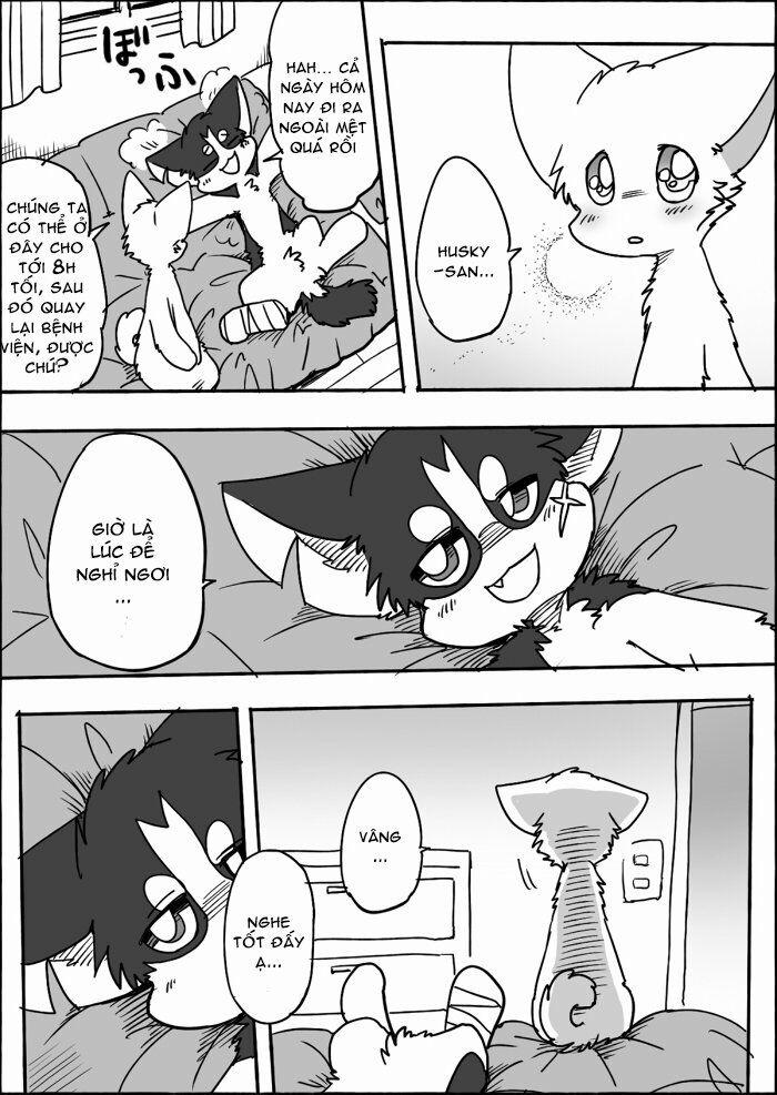 Helper Shibeta 11 trang 29