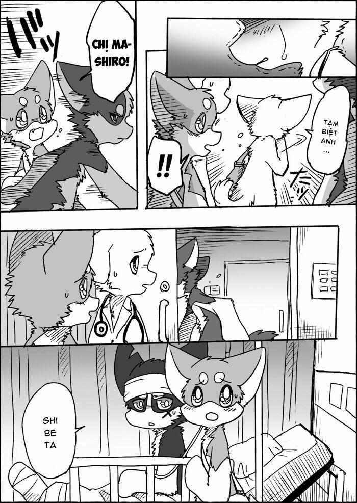 Helper Shibeta 11 trang 4