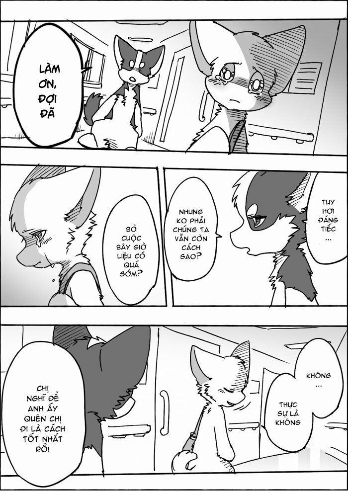 Helper Shibeta 11 trang 6