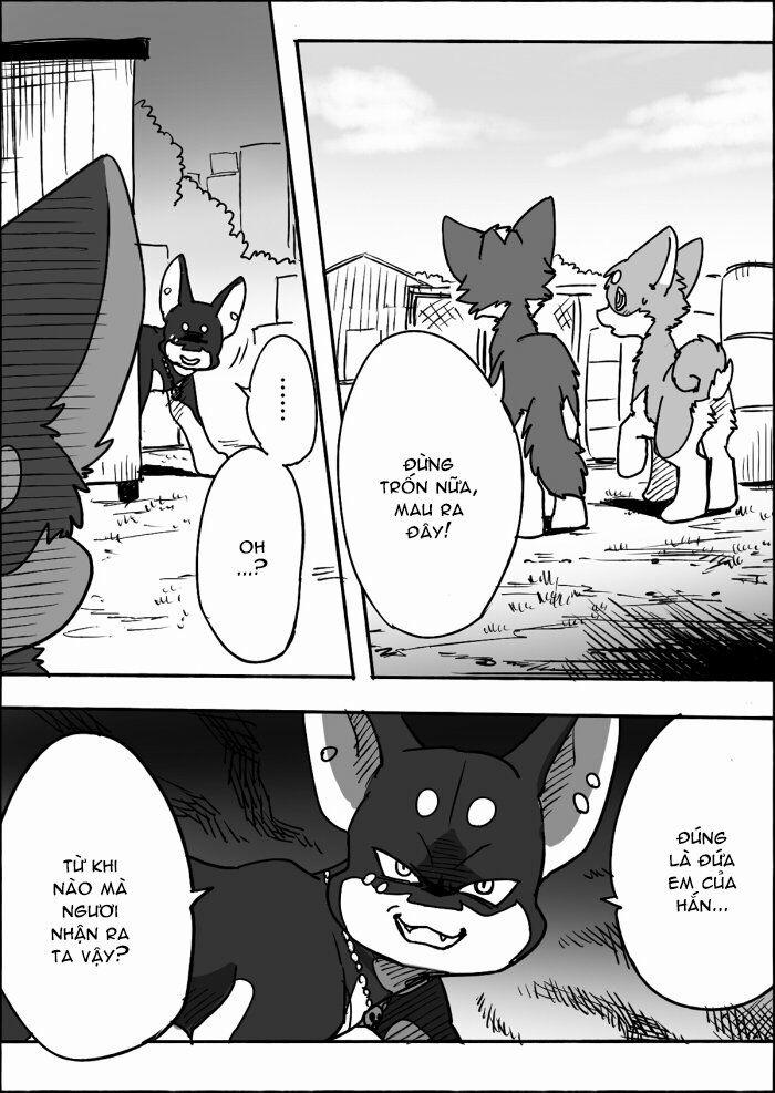 Helper Shibeta 12 trang 16