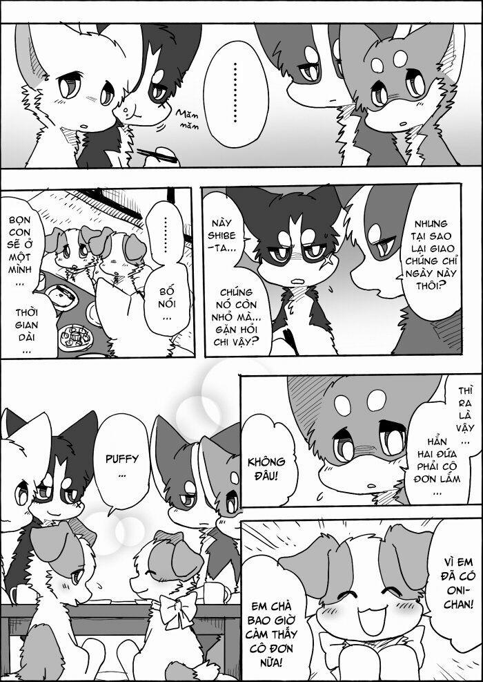 Helper Shibeta 13 trang 19