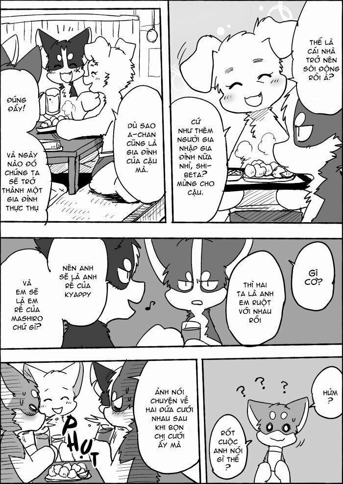 Helper Shibeta 13 trang 2