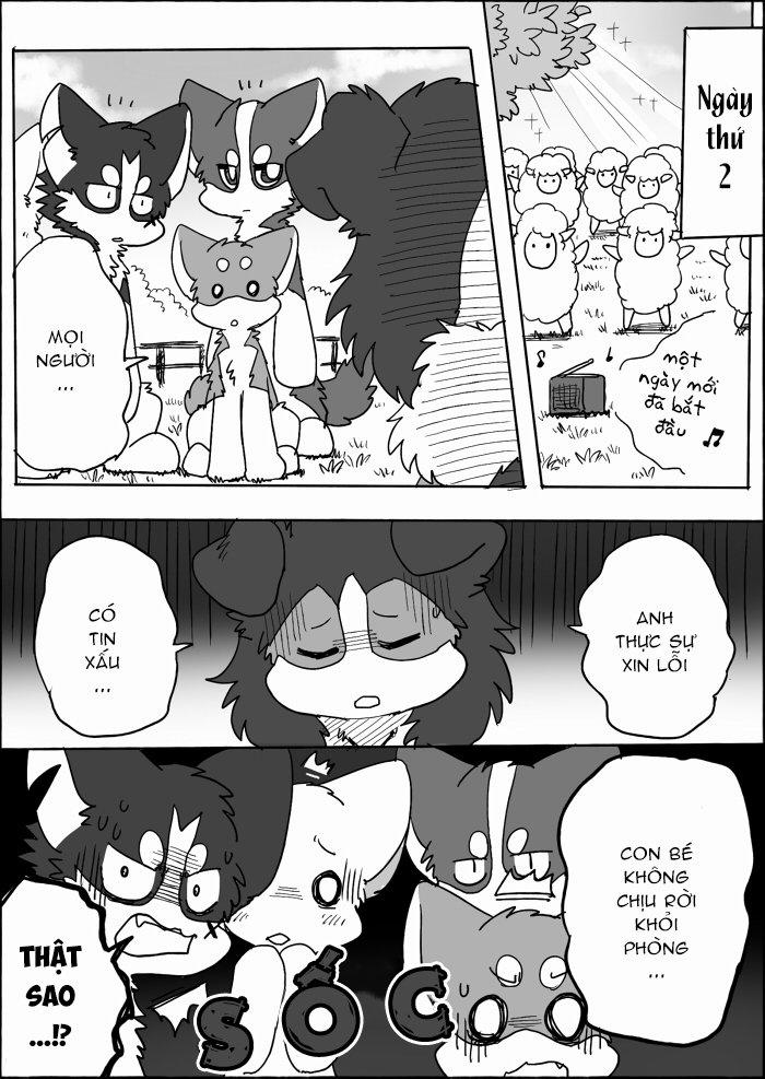 Helper Shibeta 14 trang 27