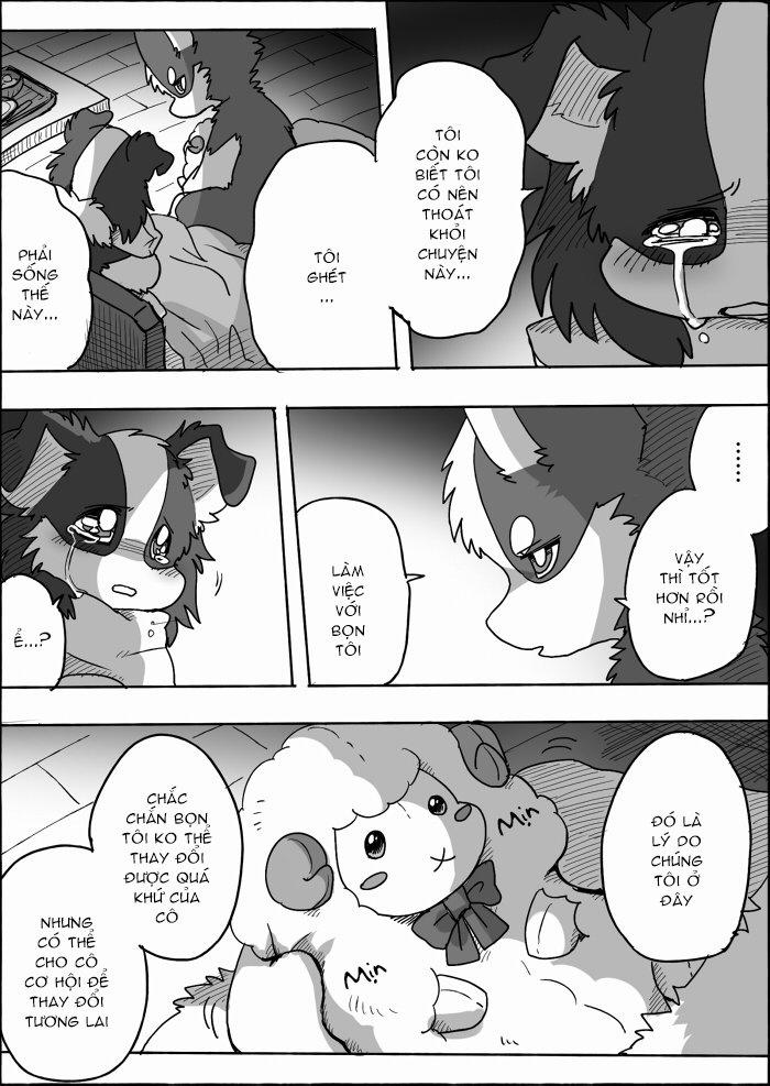 Helper Shibeta 14 trang 41