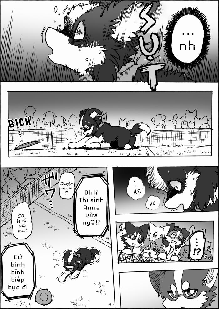 Helper Shibeta 15 trang 41