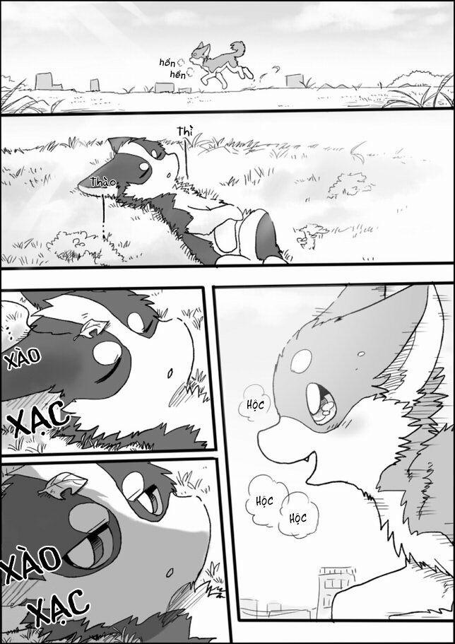 Helper Shibeta 2 trang 1