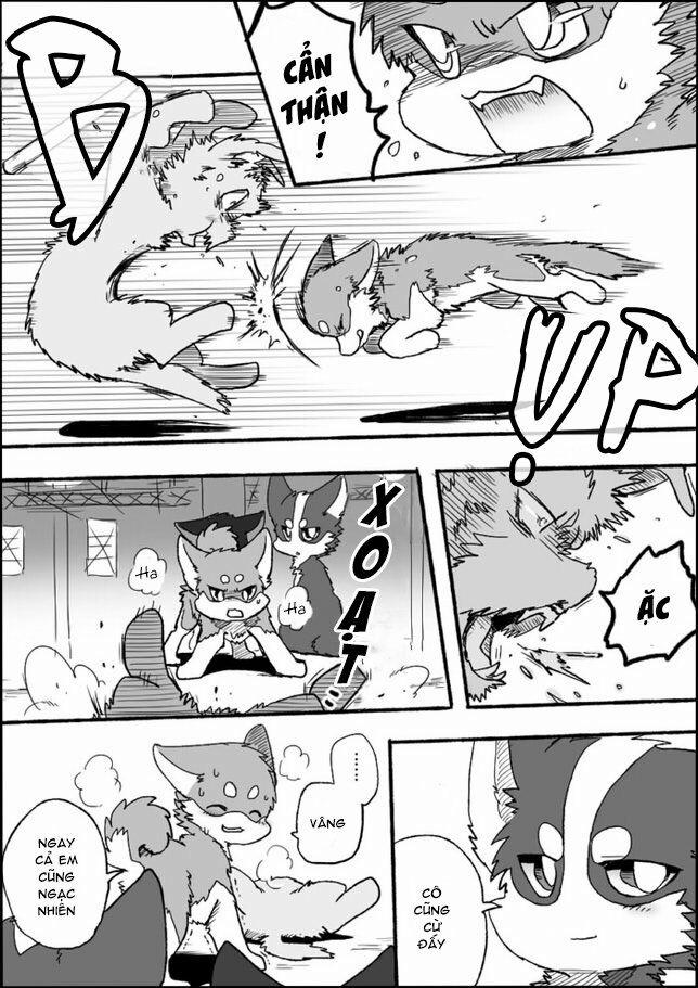 Helper Shibeta 2 trang 35