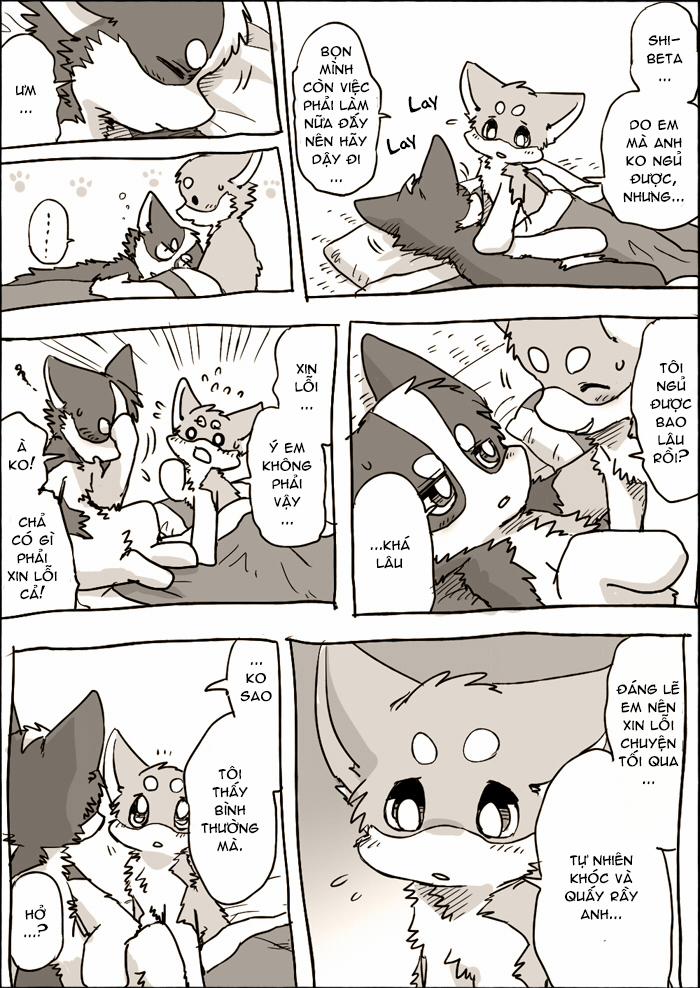 Helper Shibeta 3.5 trang 8