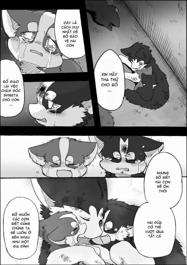 Helper Shibeta 4 trang 41