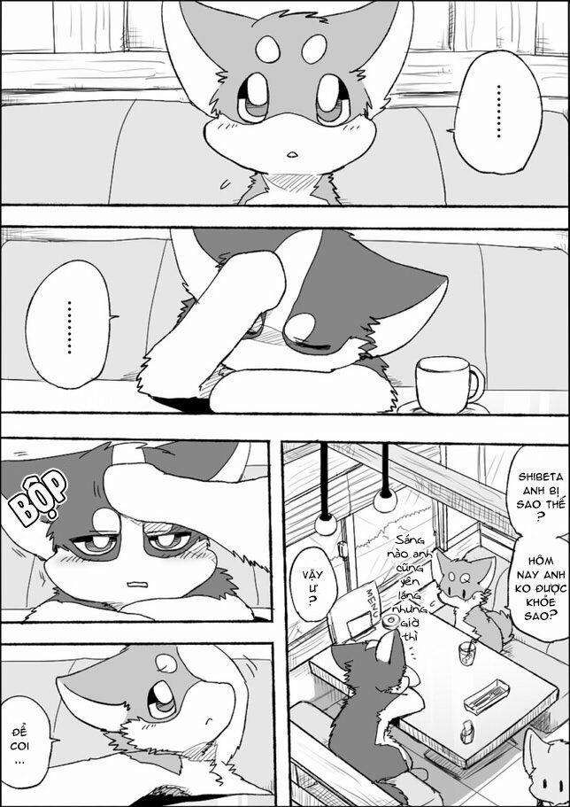 Helper Shibeta 4 trang 6