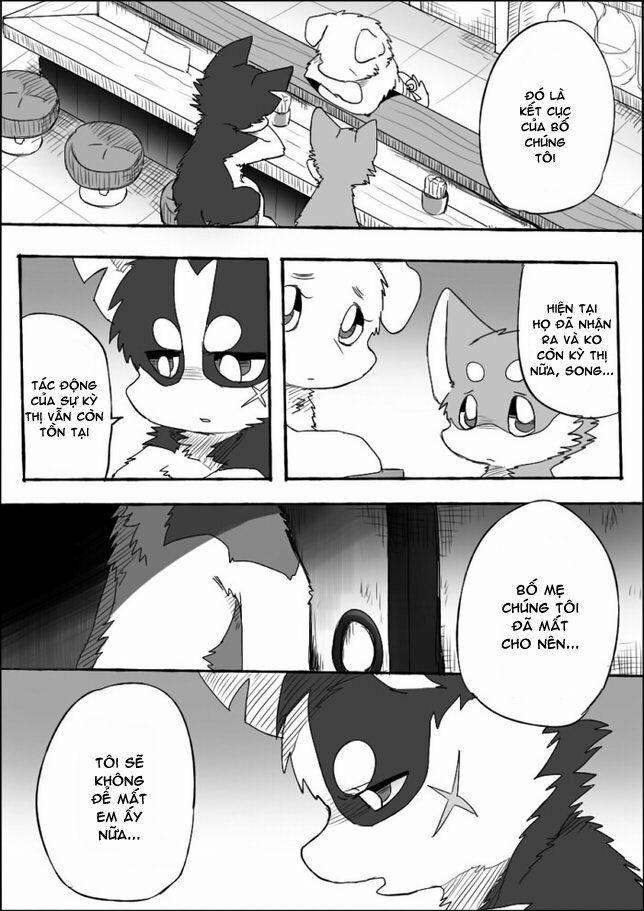 Helper Shibeta 5 trang 1