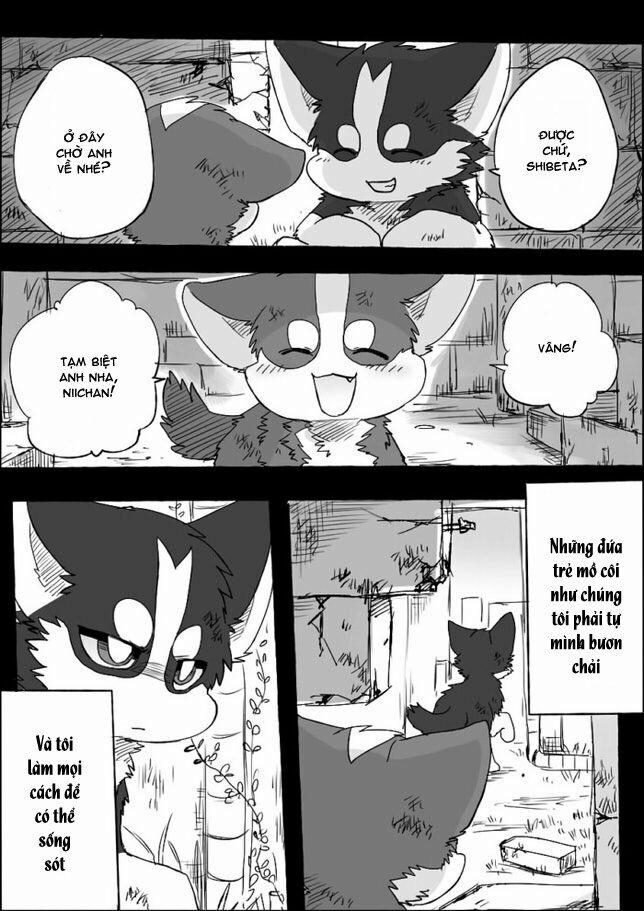 Helper Shibeta 5 trang 2