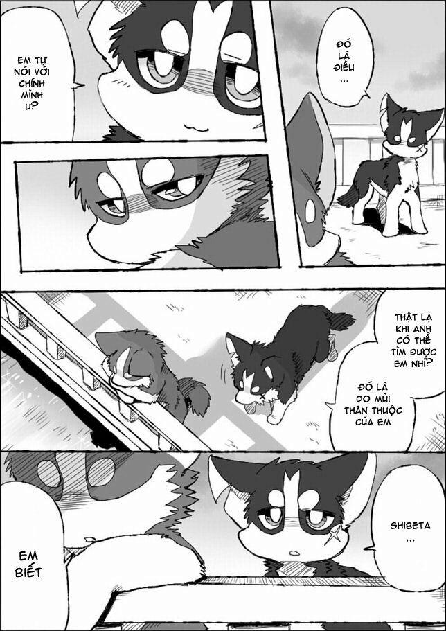 Helper Shibeta 5 trang 37