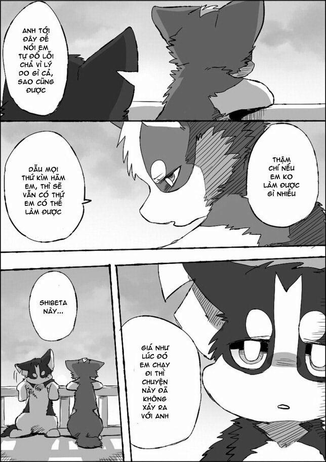 Helper Shibeta 5 trang 38