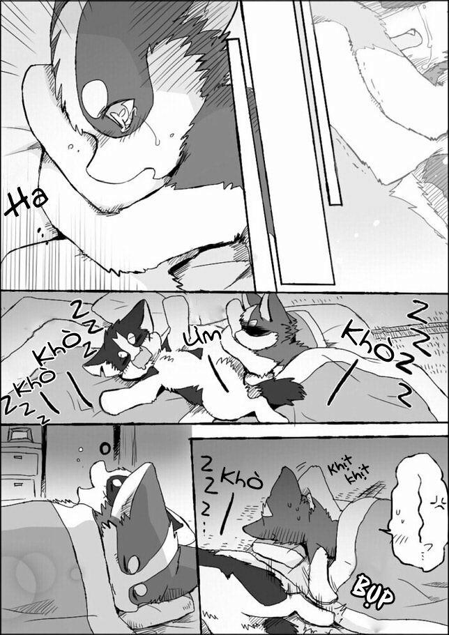 Helper Shibeta 5 trang 46